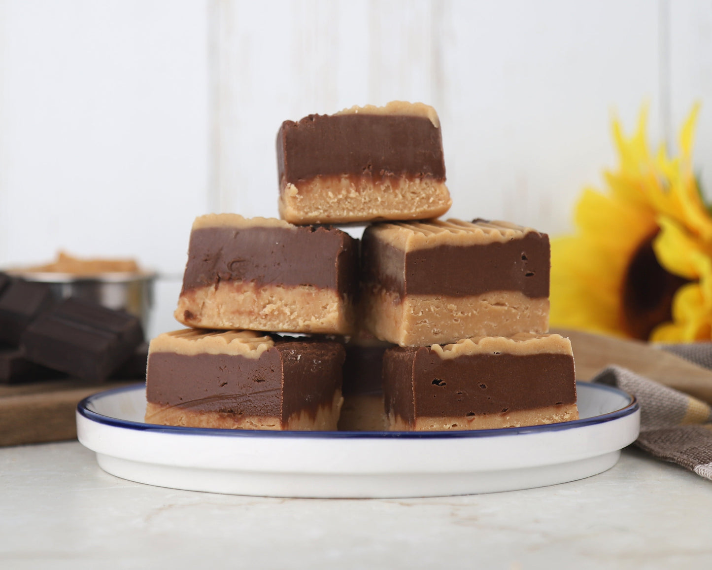 Peanut Butter Chocolate Fudge